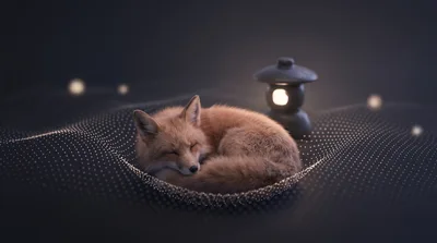 Sleeping Red Fox On A Glowing Digital Grid