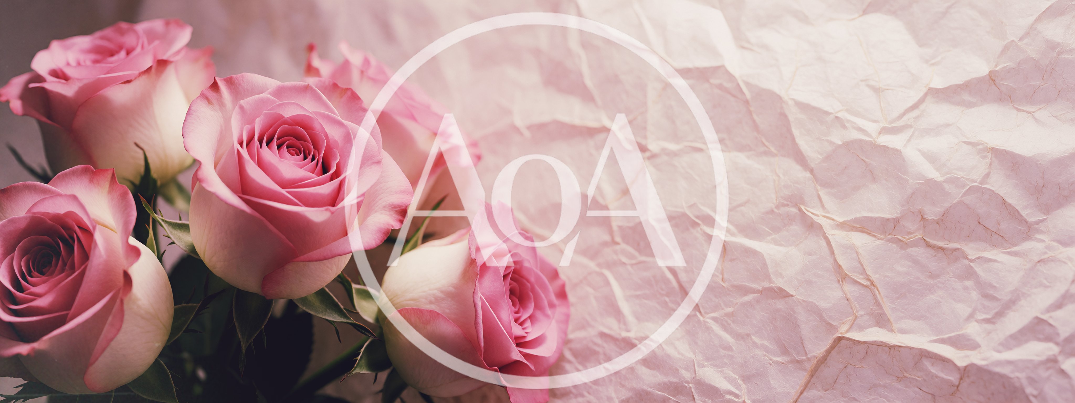 Bouquet of Pink Roses on Crumpled Pinkish Paper Background