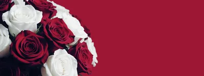 Bouquet of Red and White Roses on Intense Red Background