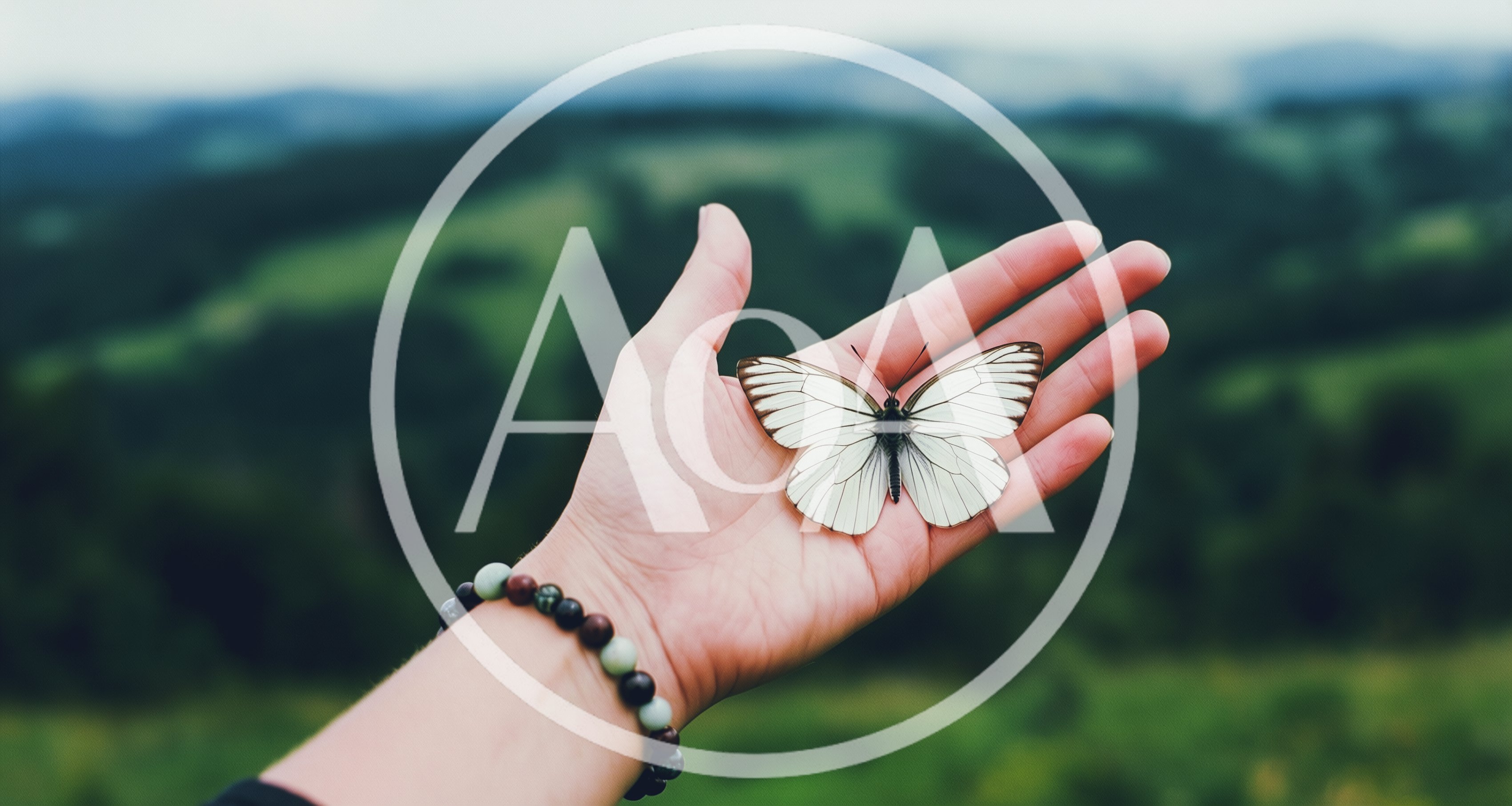 White Butterfly Resting On A Female Human Hand
