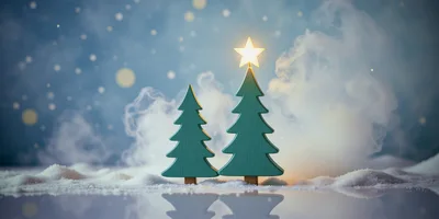 Two Wooden Christmas Trees With Glowing Star