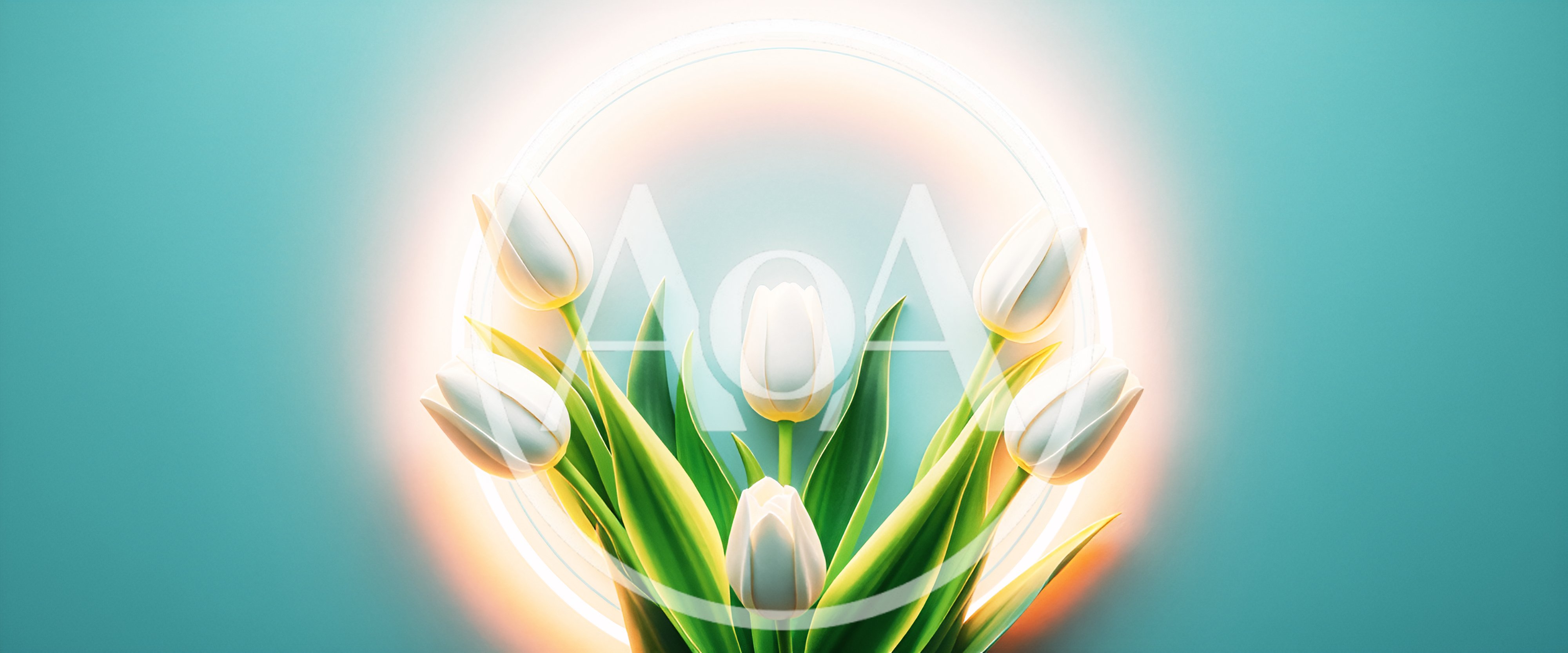 White Tulips Arranged Against A Glowing Circular Background