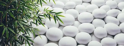 Bamboo Leaves Overlapping Smooth White Zen Stones
