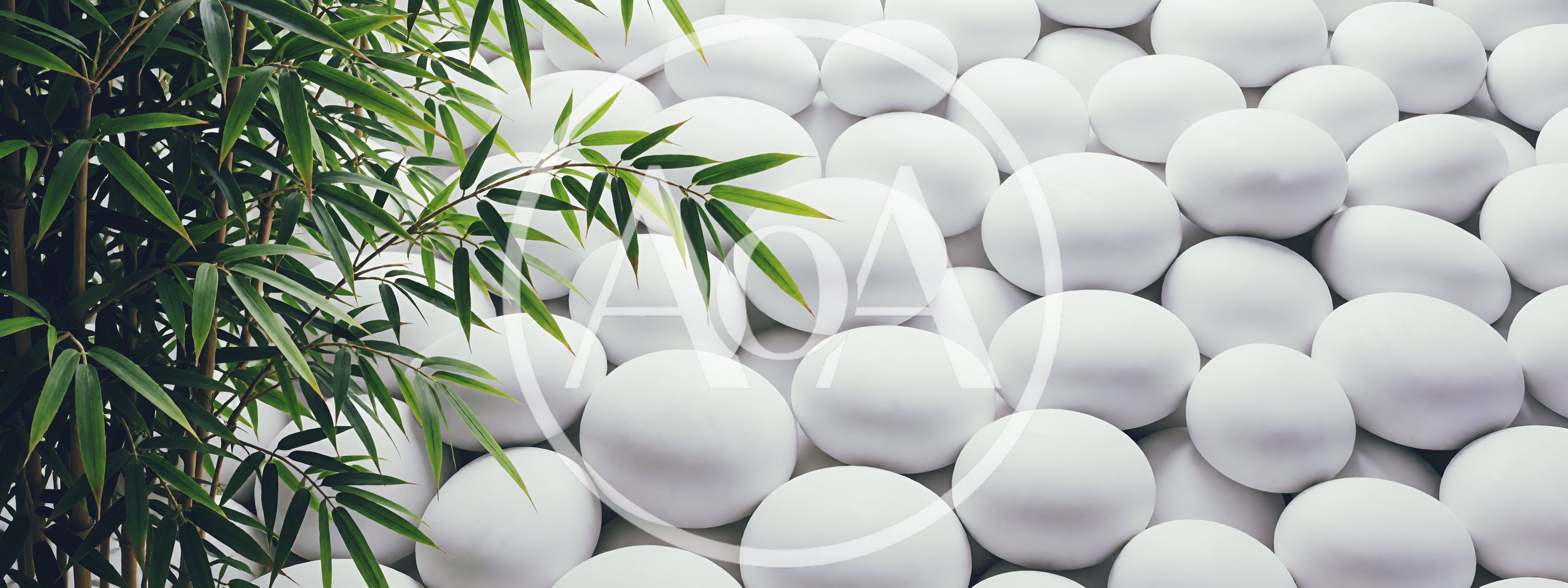Bamboo Leaves Overlapping Smooth White Zen Stones