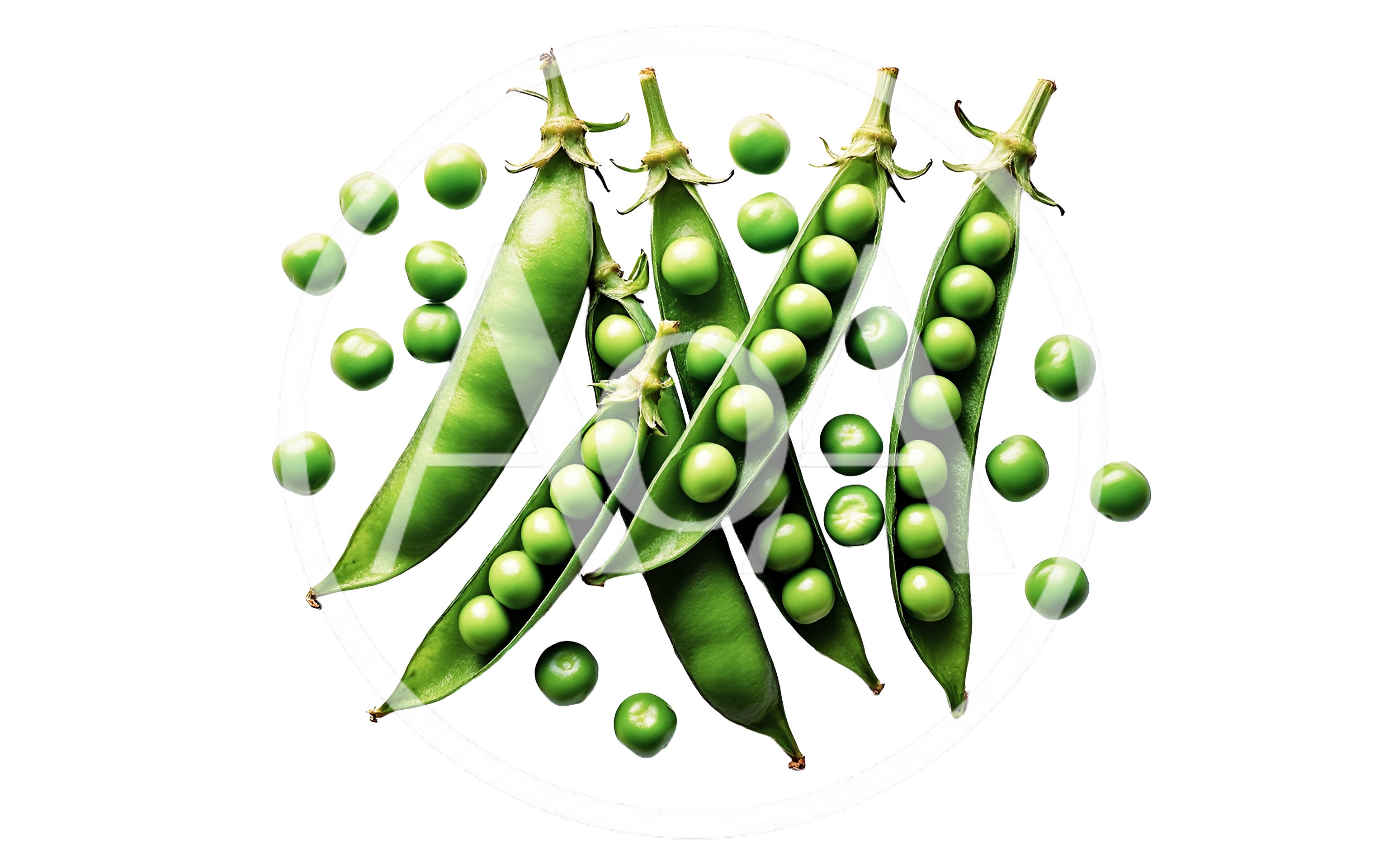 Fresh Green Pea Pods and Loose Peas