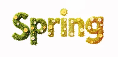 3D Rendered Spring Text With Flowers And Grass