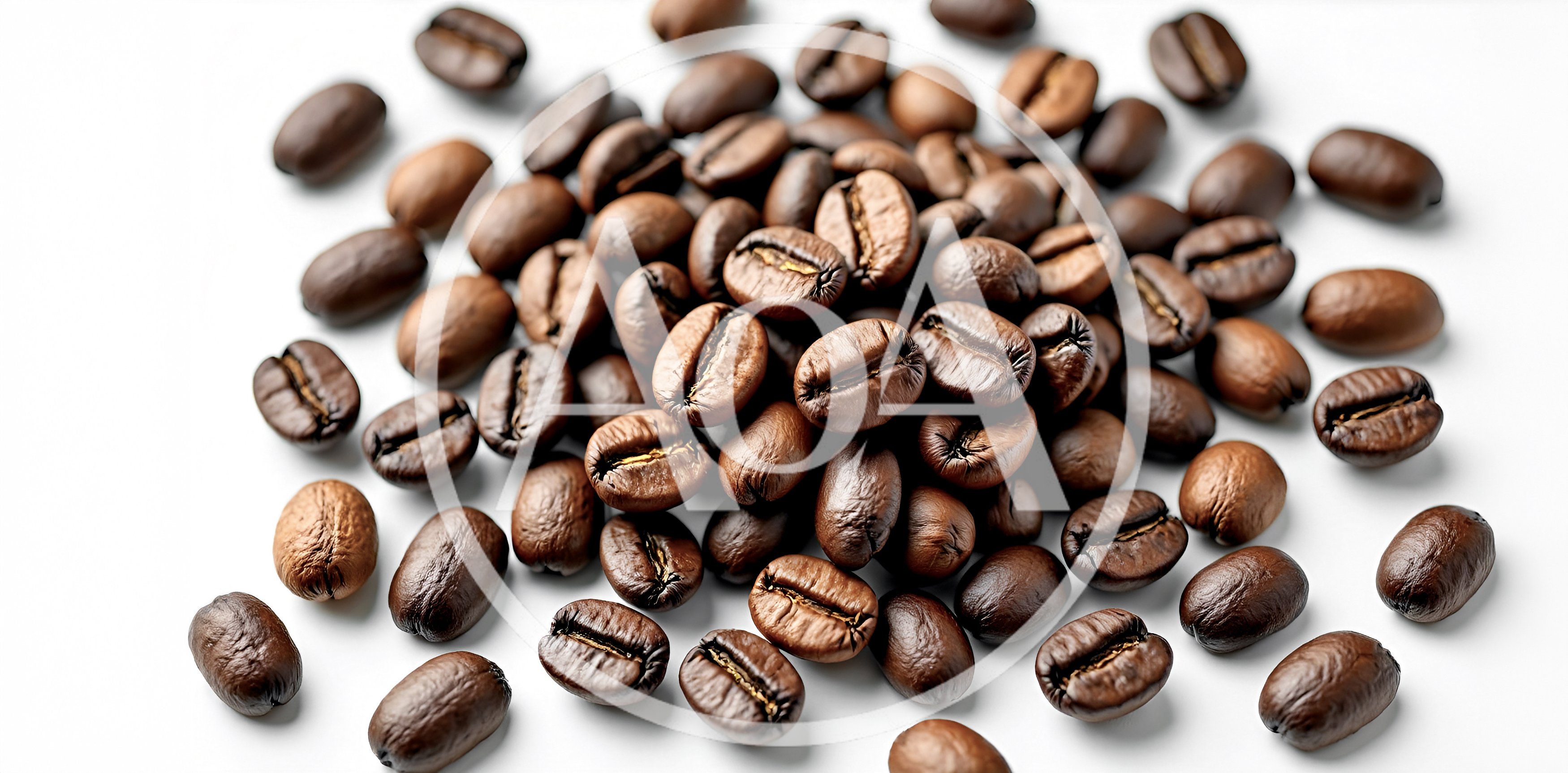 Roasted Coffee Beans Scattered On White Background