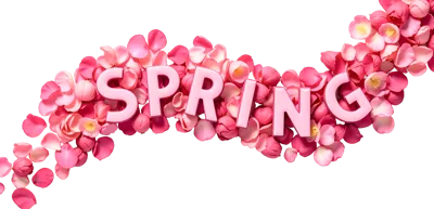 Spring Text Surrounded By Pink Flower Petals