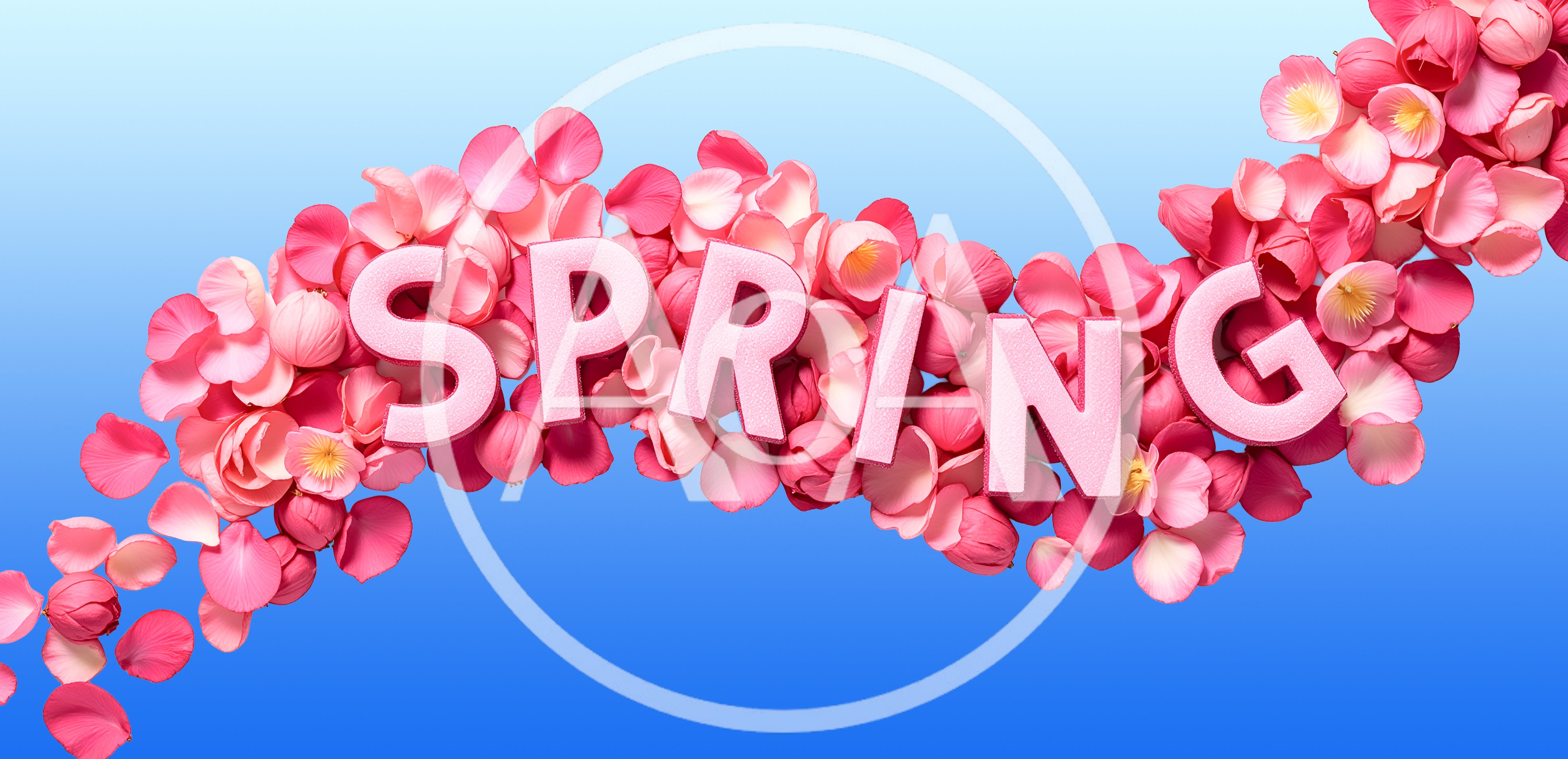 Spring Text Surrounded By Pink Rose Petals
