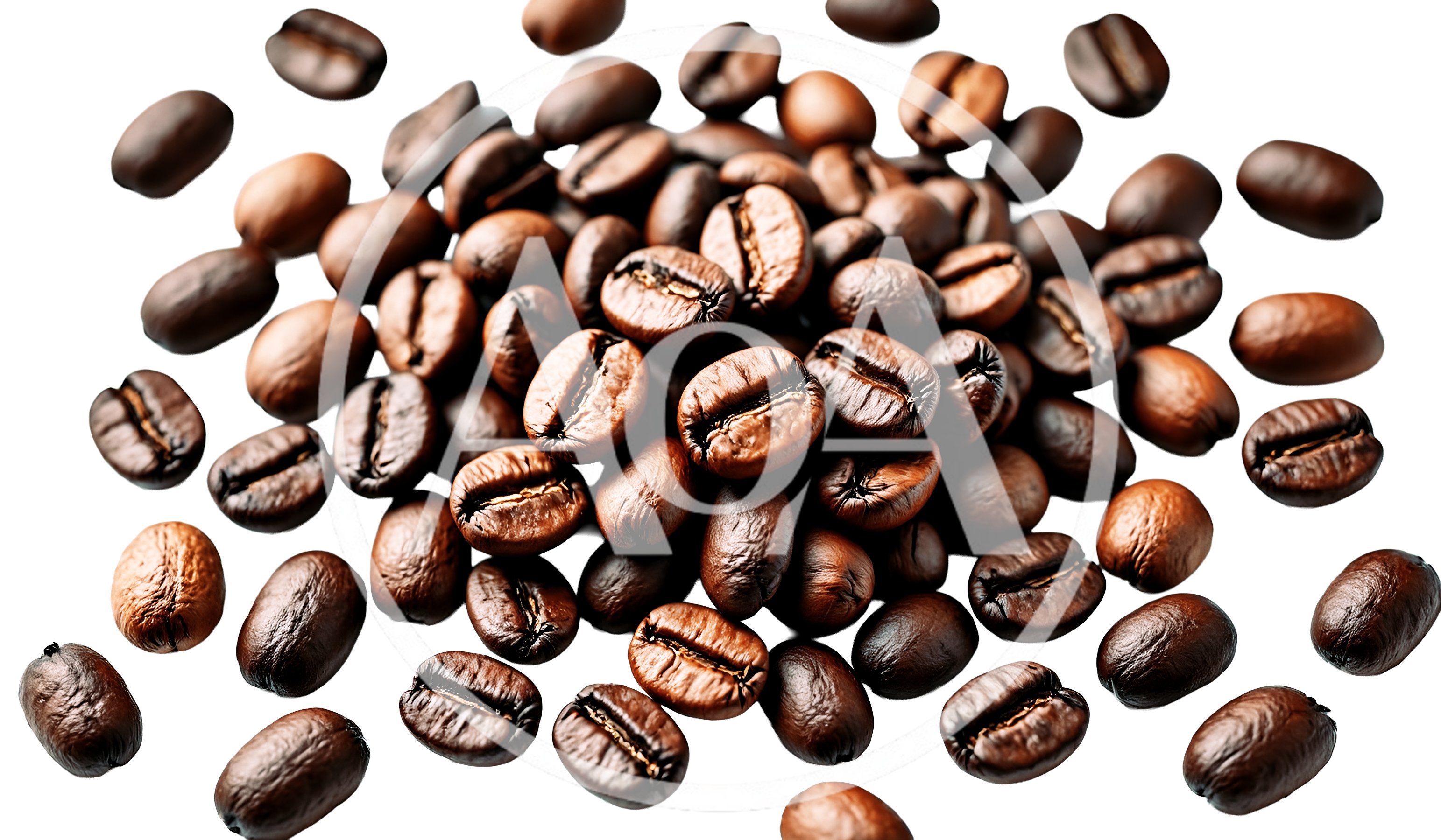 Roasted Coffee Beans Scattered On White Background
