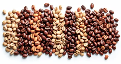 Assorted Roasted Coffee Beans On White Background