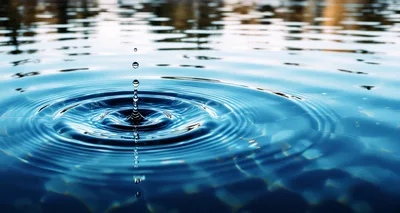 Single Water Droplet Creating Concentric Ripples