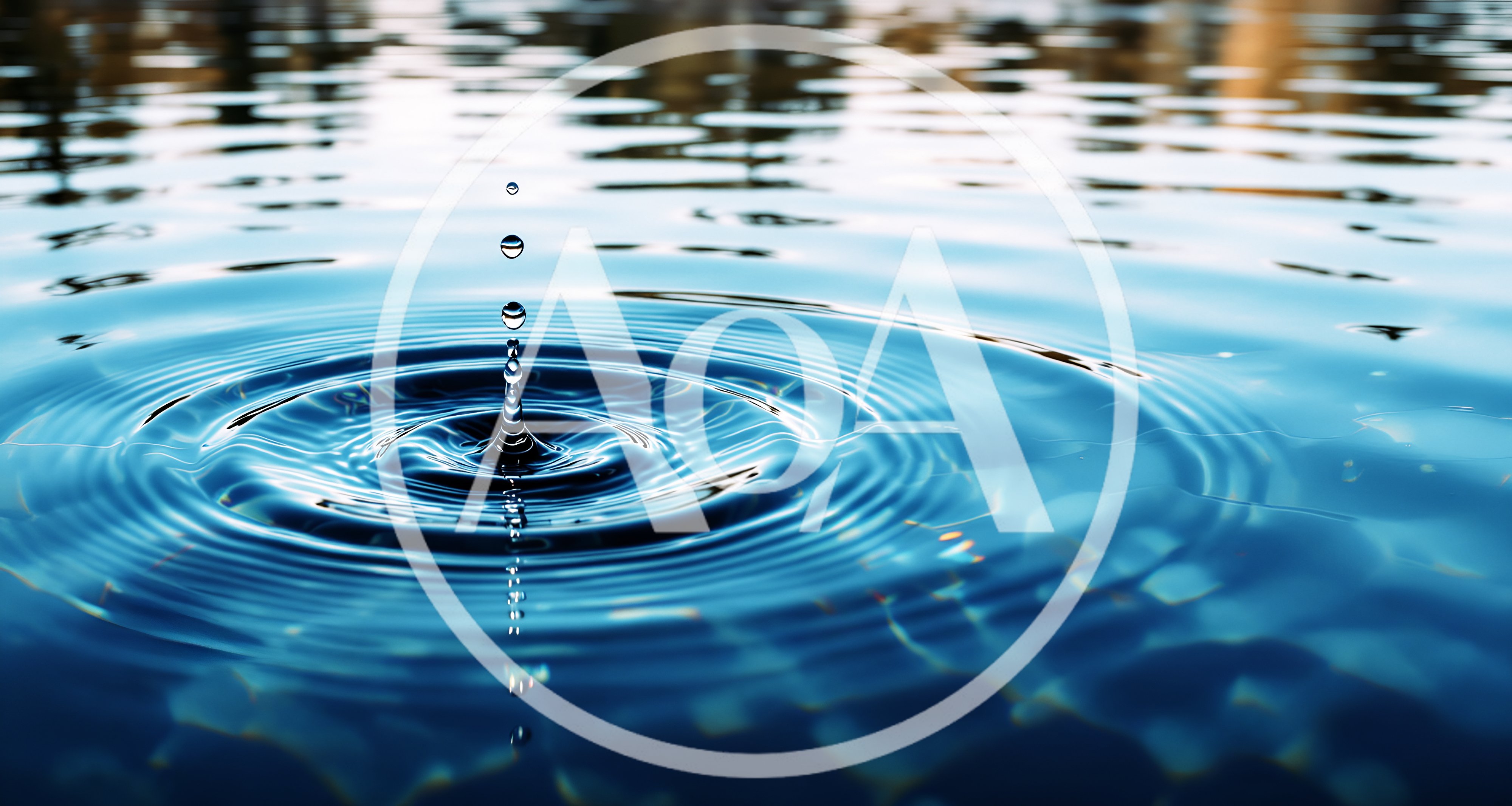 Single Water Droplet Creating Concentric Ripples