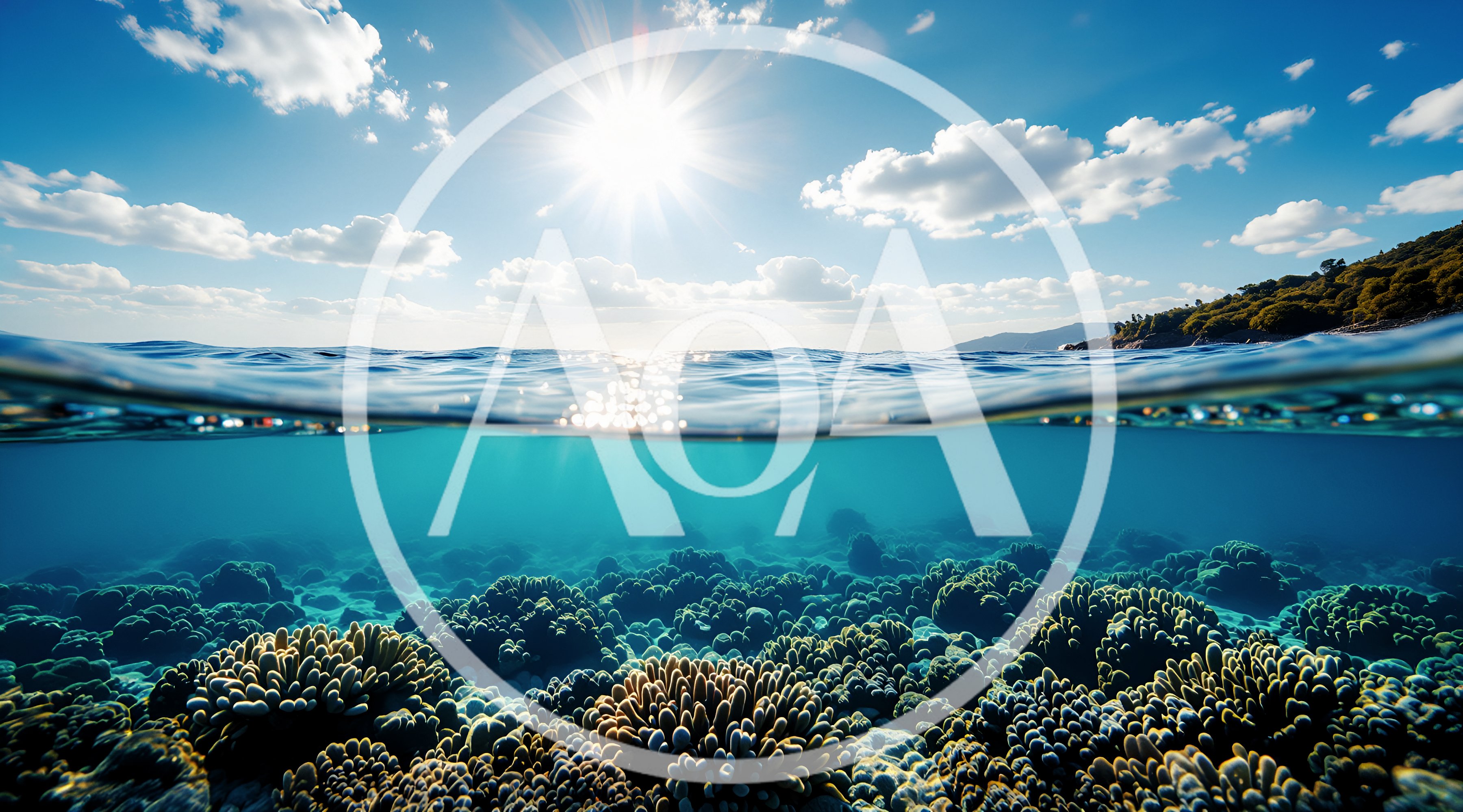 Split Level View Of Tropical Coral Reef