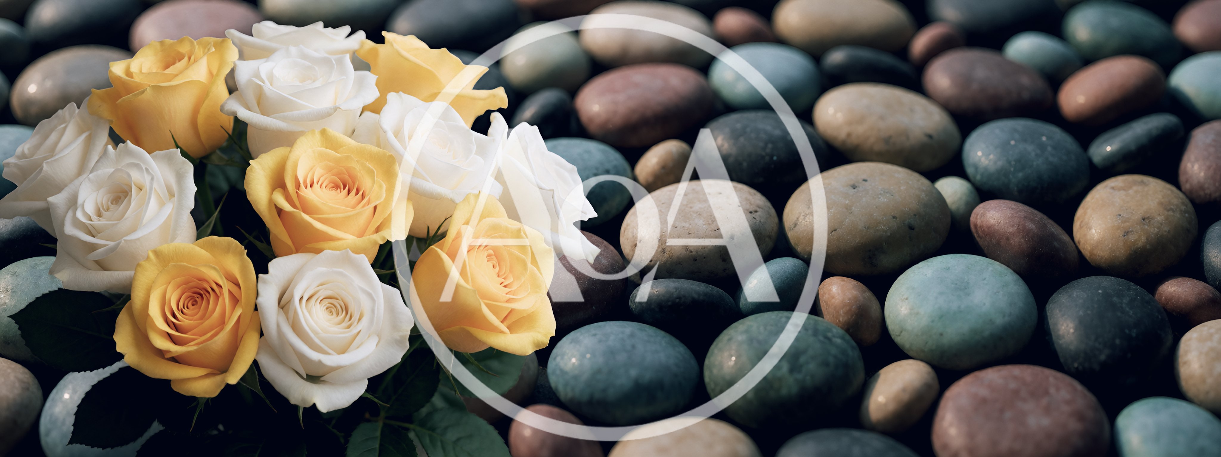 Bouquet of Yellow and White Roses on Smooth Stones