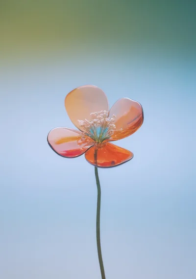 Glass Poppy Flower Sculpture Against Soft Gradient Background