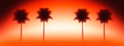 Four Silhouetted Palm Trees Against A Vibrant Sunset
