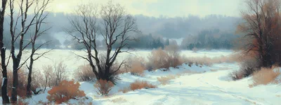 Winter Landscape With Bare Trees And Snow Covered Field