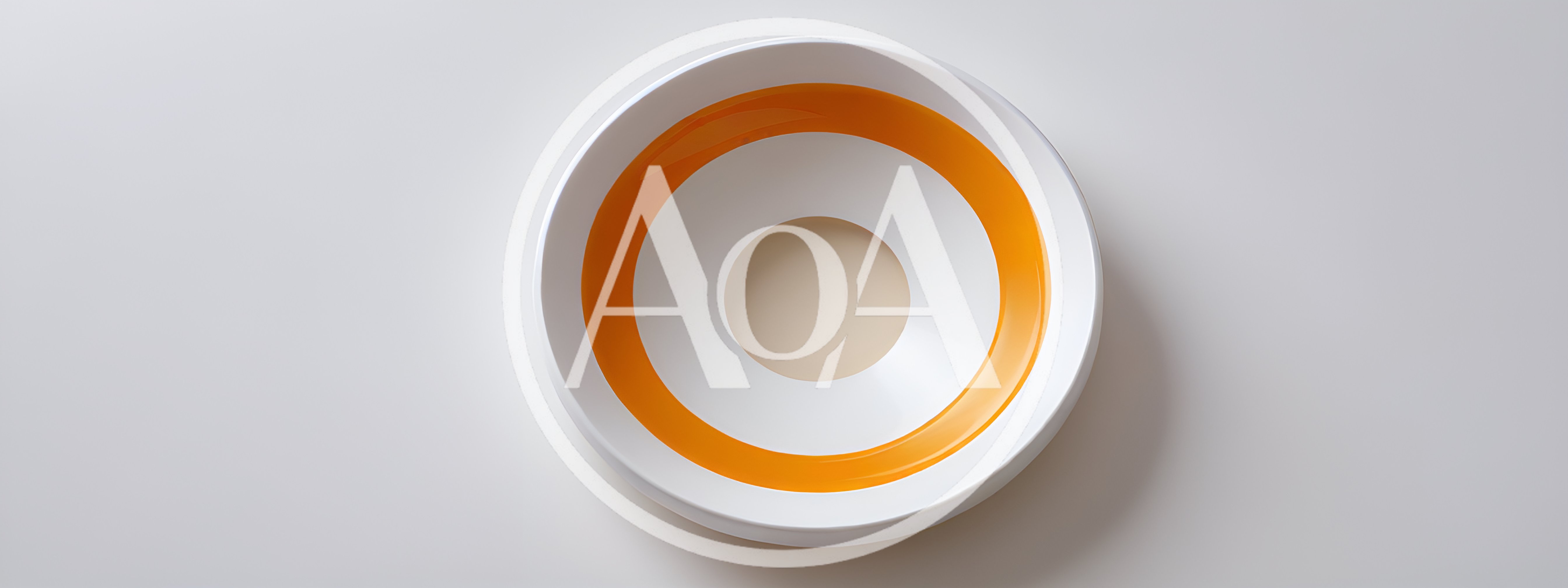 Top Down View Of A Modern Orange And White Bowl