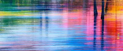 Abstract Colorful Water Reflection With Tree Trunks
