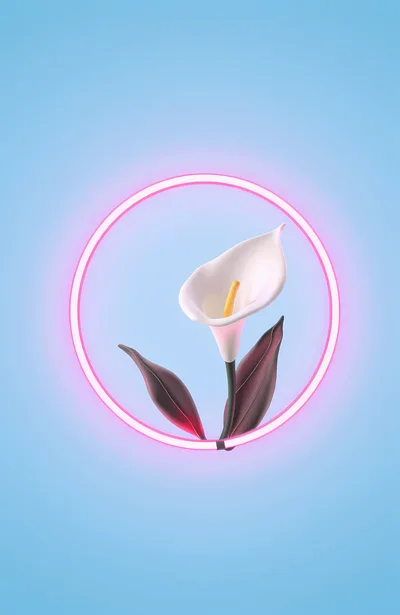 3D Rendered Calla Lily Inside A Glowing Neon Ring