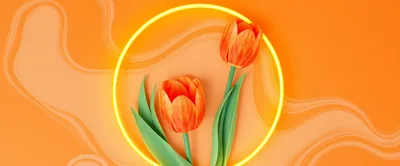 Two Orange Tulips Inside A Glowing Yellow Neon Circle