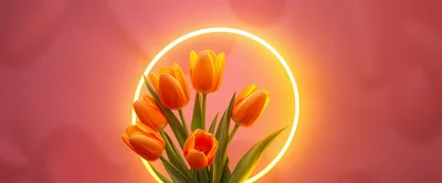 Orange Tulips With Glowing Neon Ring Background