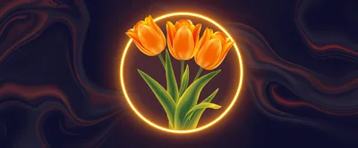 Three Orange Tulips Inside A Glowing Neon Circle