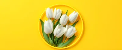 White Tulips Arranged on a Yellow Plate