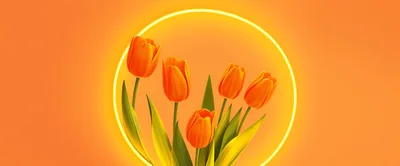 Orange Tulips Inside A Glowing Yellow Neon Circle