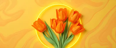 Orange Tulips Inside A Glowing Yellow Neon Circle
