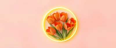 Orange Tulips Inside A Glowing Yellow Neon Circle