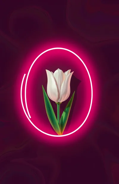 White Tulip Inside A Glowing Pink Neon Oval Frame