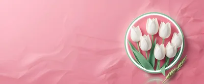 White Tulips Inside A Circular Frame On Pink Background