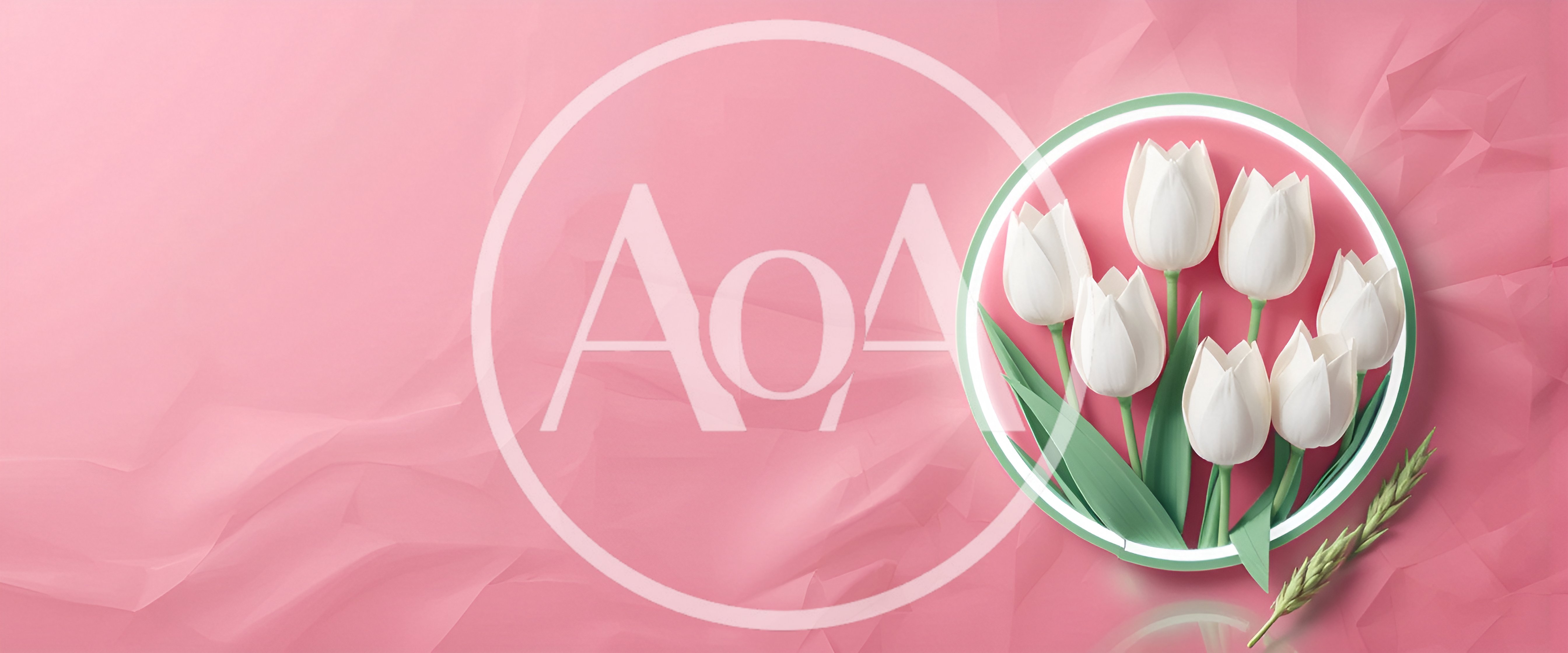 White Tulips Inside A Circular Frame On Pink Background