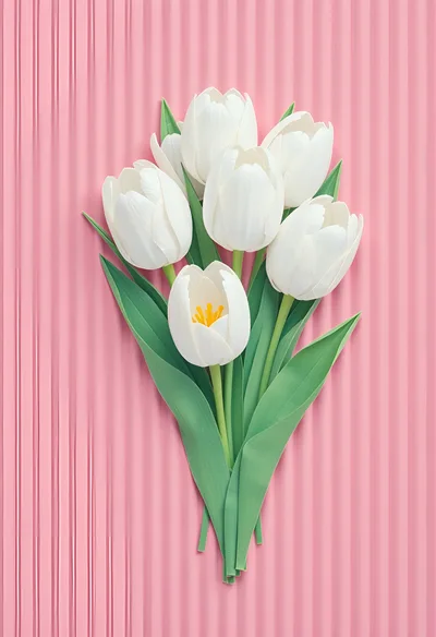 Bouquet Of White Tulips On Pink Background
