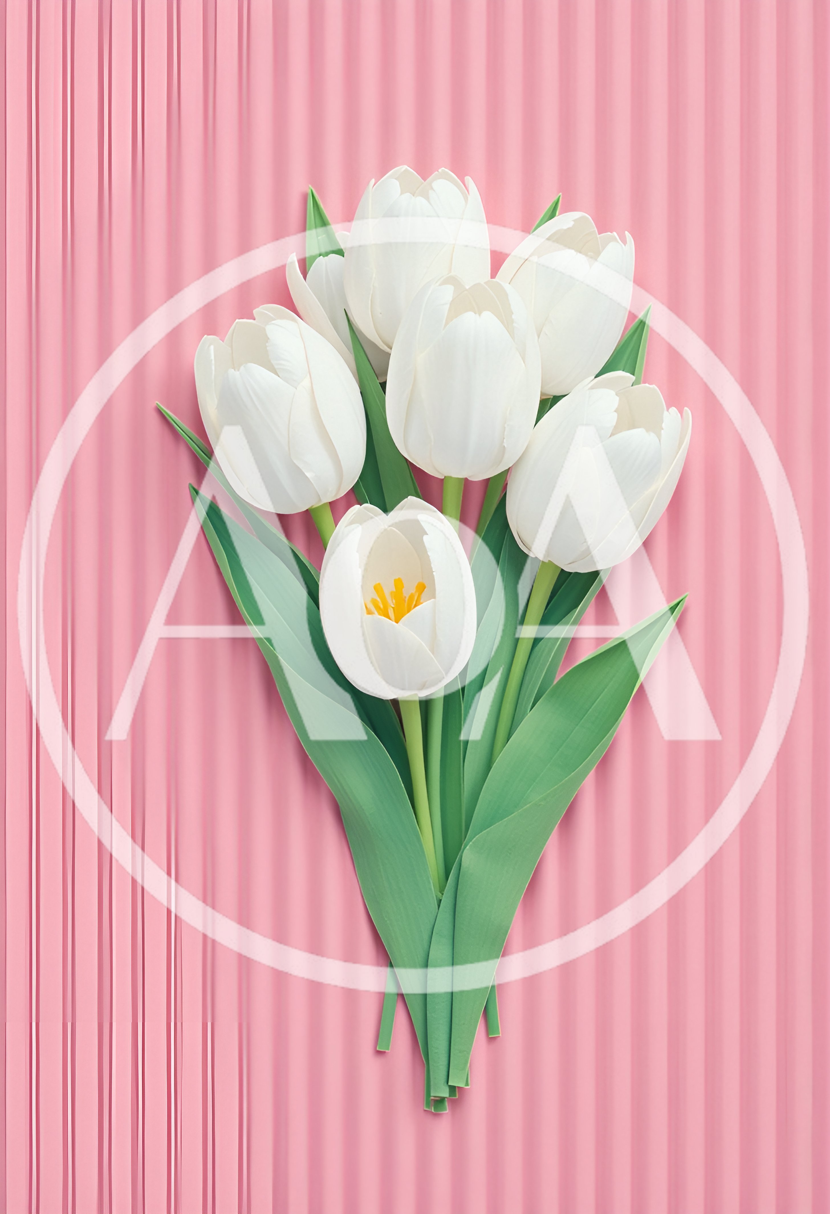 Bouquet Of White Tulips On Pink Background