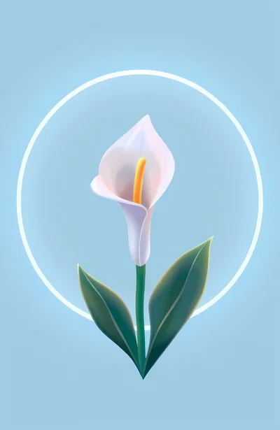 Minimalist Illustration Of A Single White Calla Lily
