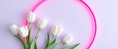 White Tulips Arranged With Pink Neon Circle Frame