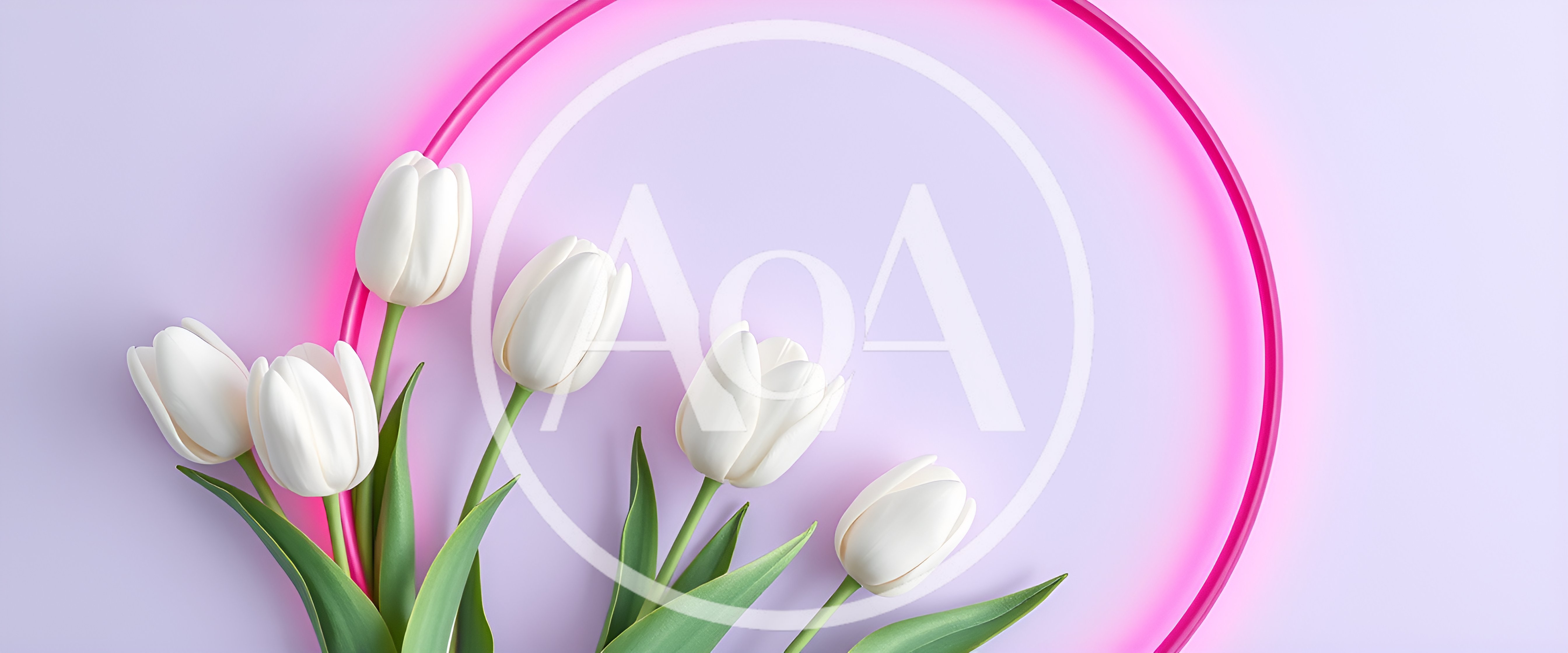 White Tulips Arranged With Pink Neon Circle Frame