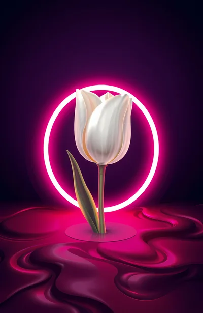 White Tulip Flower With Neon Pink Circular Light
