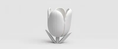 Minimalist White Tulip Flower Sculpture On White Background