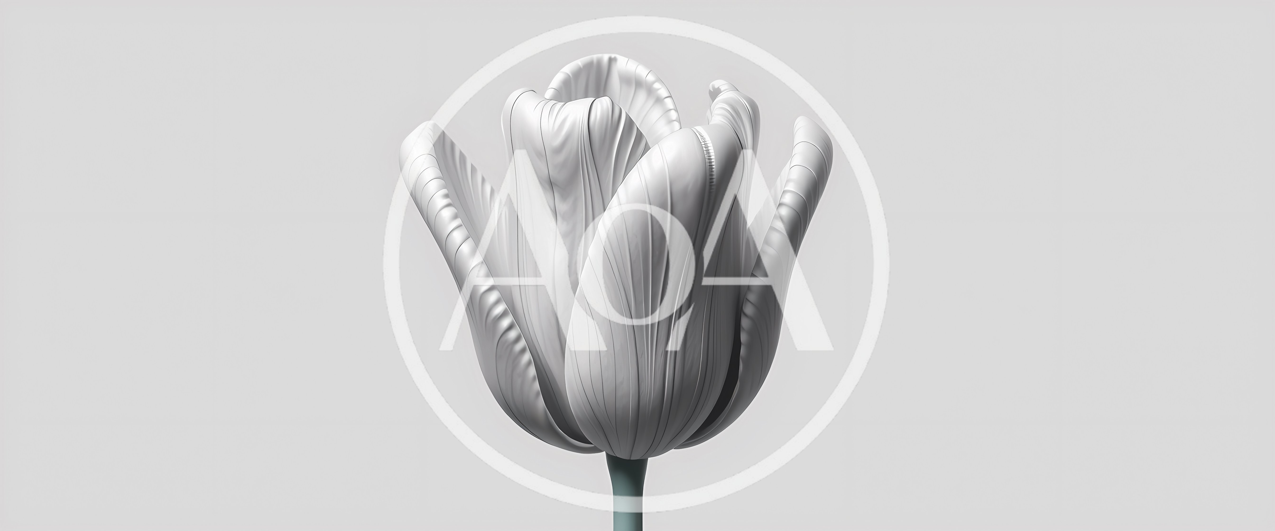 Minimalist 3D Rendered White Tulip Flower
