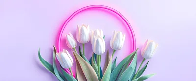 White Tulips Arranged Inside A Pink Neon Circle