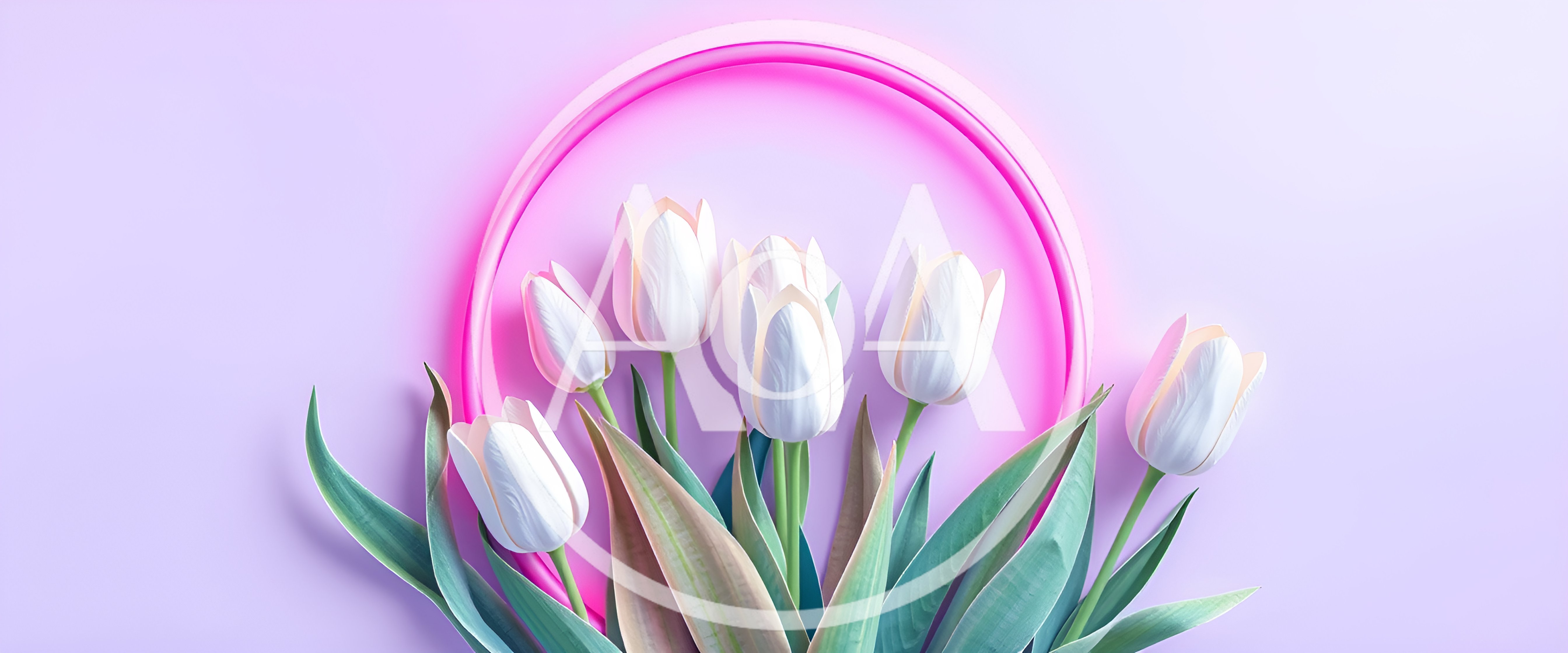 White Tulips Arranged Inside A Pink Neon Circle