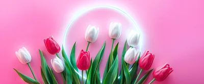 Pink and White Tulips with Neon Circle Frame