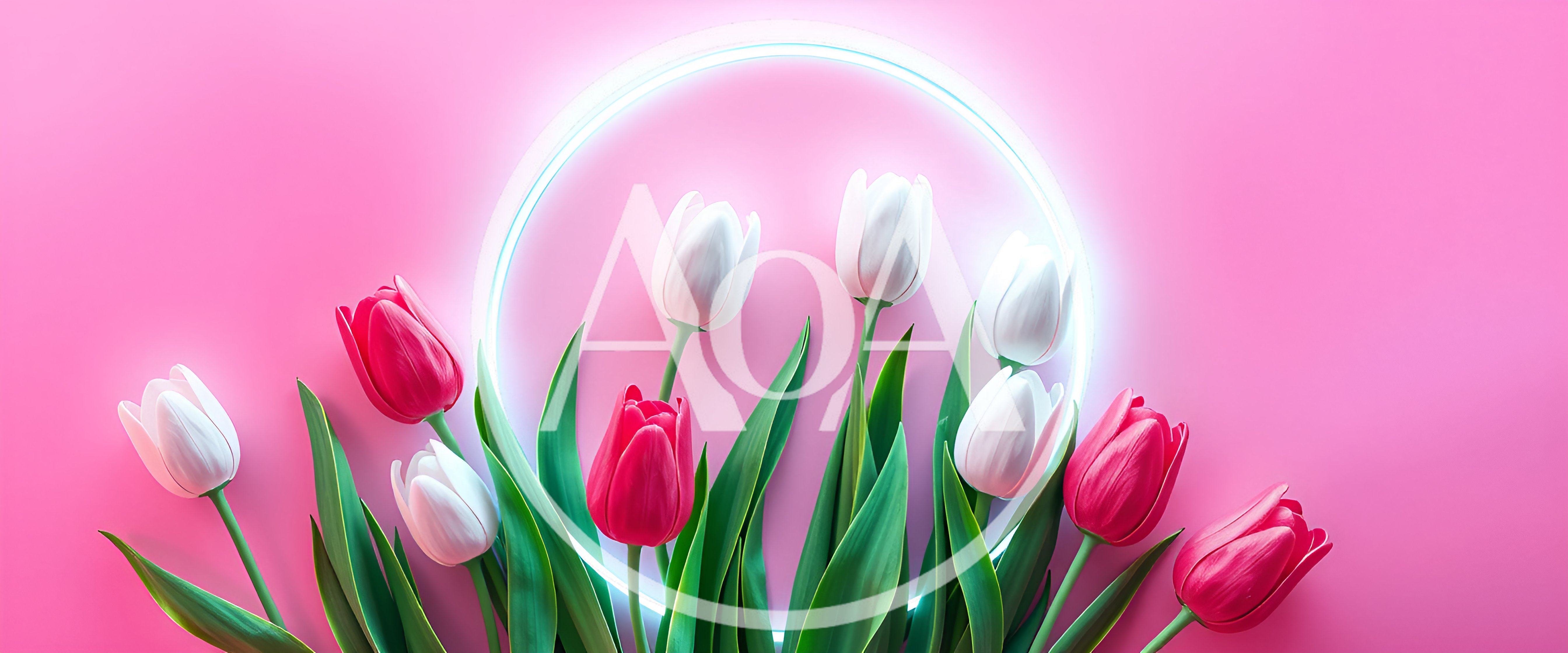 Pink and White Tulips with Neon Circle Frame