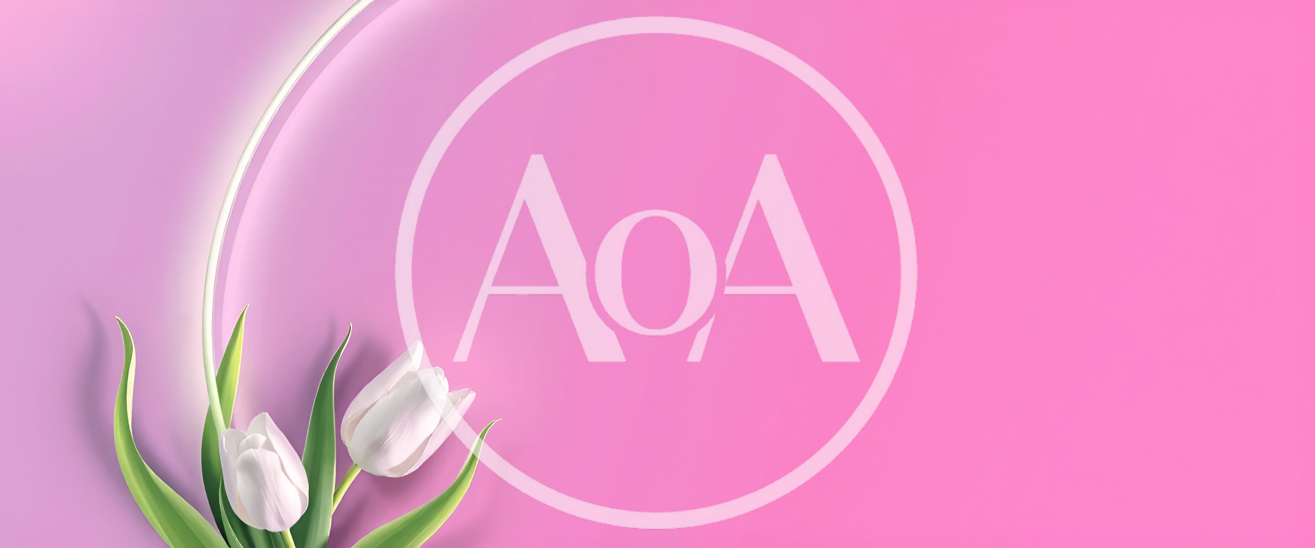 Two White Tulips on a Pink Gradient Background