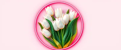 Bouquet Of White Tulips In A Pink Circle