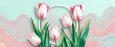 White And Pink Tulips With Circular Frame